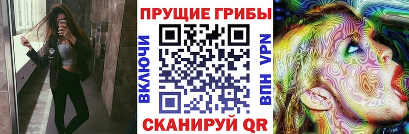 гидра зеркало цены наркотик Злынка Псилоцибиновые грибы Magic Shrooms